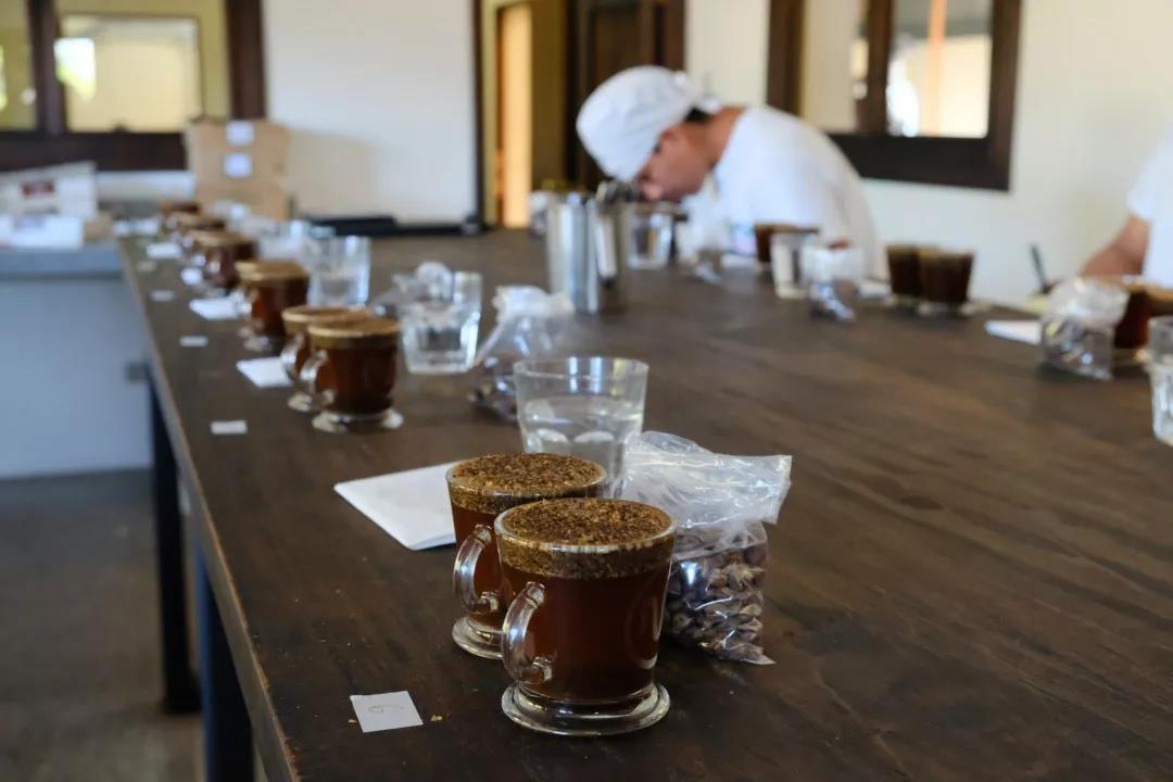 什么是好咖啡? 什么是好咖啡?