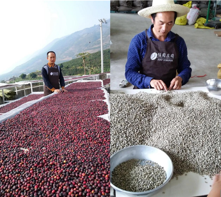 2020云南咖啡生豆大賽兩岸共33個站點即將火熱開賽! 2020云南咖啡生豆大賽兩岸共33個站點即將火熱開賽!