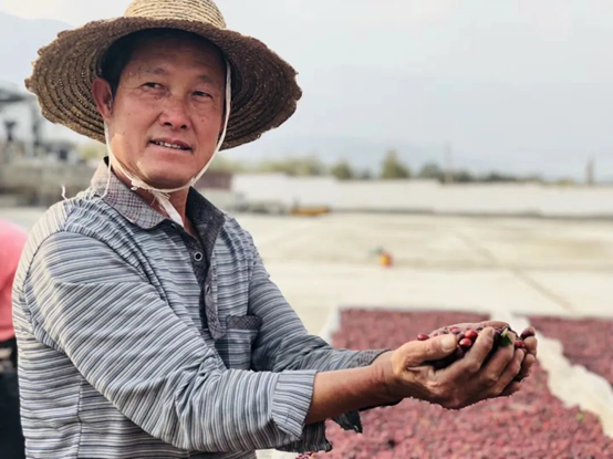 2020云南咖啡生豆大賽兩岸共33個站點即將火熱開賽! 2020云南咖啡生豆大賽兩岸共33個站點即將火熱開賽!