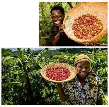 “烏干達咖啡日”首場活動落地廣州 多方聯線推進中烏咖啡行業合作 “烏干達咖啡日”首場活動落地廣州 多方聯線推進中烏咖啡行業合作