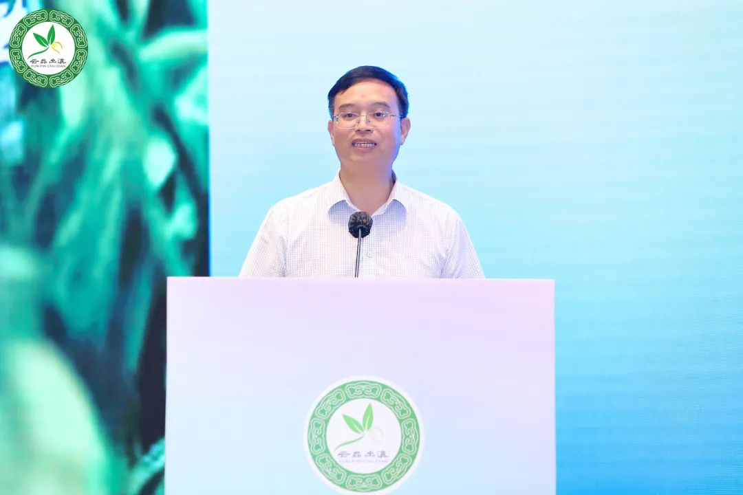 保山推介會在穗成功舉辦,咖啡茶葉企業組團考察金達 保山推介會在穗成功舉辦,咖啡茶葉企業組團考察金達