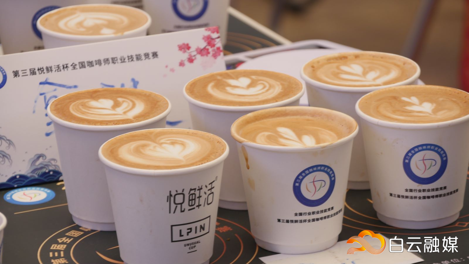 白云融媒:咖啡飄香,高手云集!這場國家級賽事在白云開賽(轉載) 白云融媒:咖啡飄香,高手云集!這場國家級賽事在白云開賽(轉載)